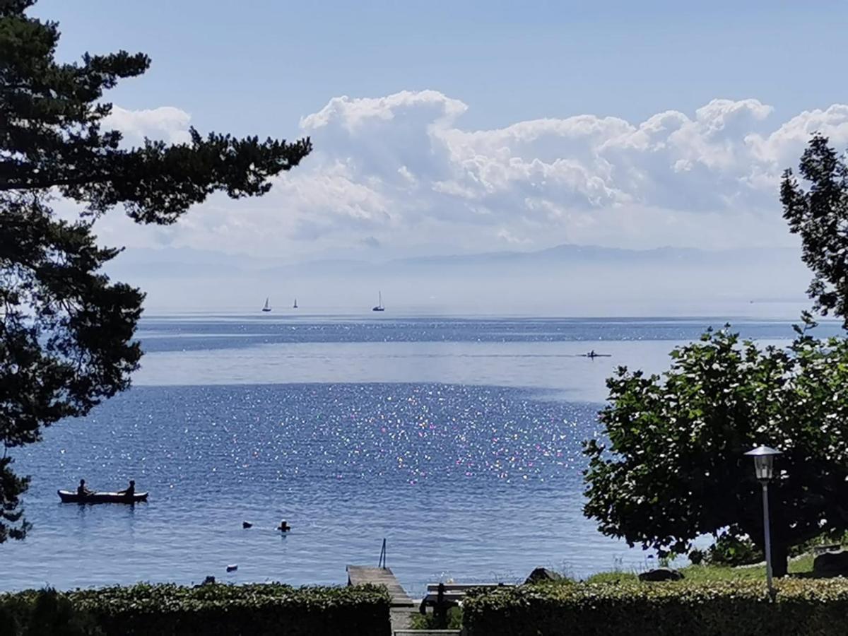 Gaestehaus Zum Landesteg Immenstaad am Bodensee Eksteriør billede