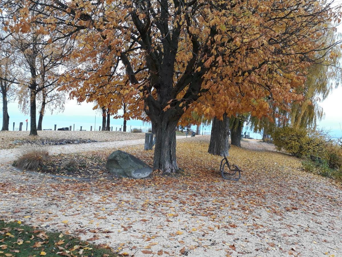 Gaestehaus Zum Landesteg Immenstaad am Bodensee Eksteriør billede