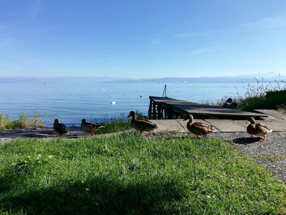 Gaestehaus Zum Landesteg Immenstaad am Bodensee Eksteriør billede