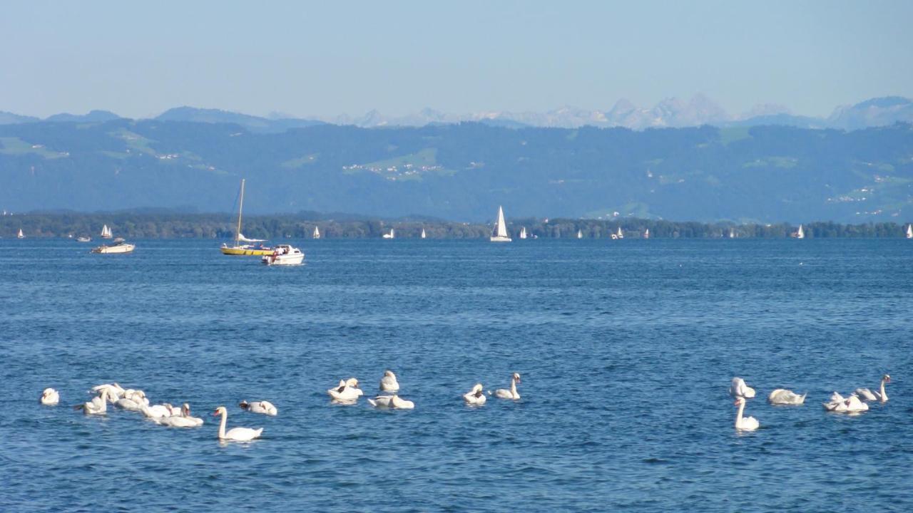 Gaestehaus Zum Landesteg Immenstaad am Bodensee Eksteriør billede